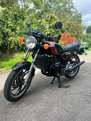 Yamaha rd250lc 1982 historic - rd250lc,