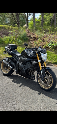 2010 yamaha fz1 - 2010,