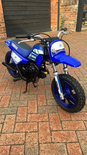 Yamaha 2019 great - pw,